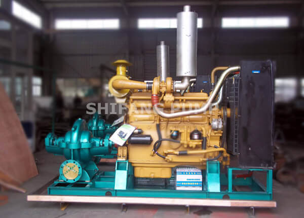 Diesel Engine Double Suction Pump Diesel